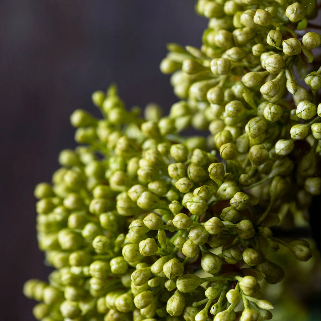 Viburnum Olive Artificial Stem