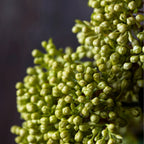 Viburnum Olive Artificial Stem