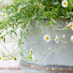 Bathwick Planter