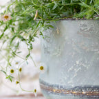 Bathwick Planter
