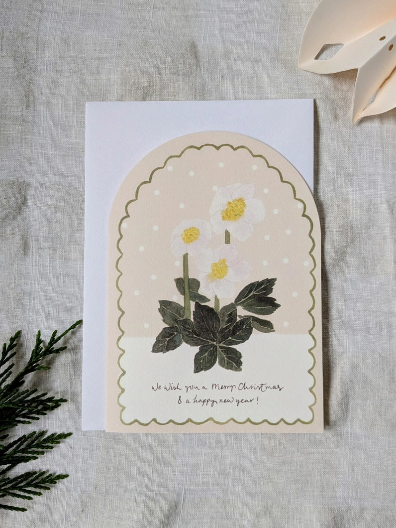 Christmas Rose Hellebore Christmas Card