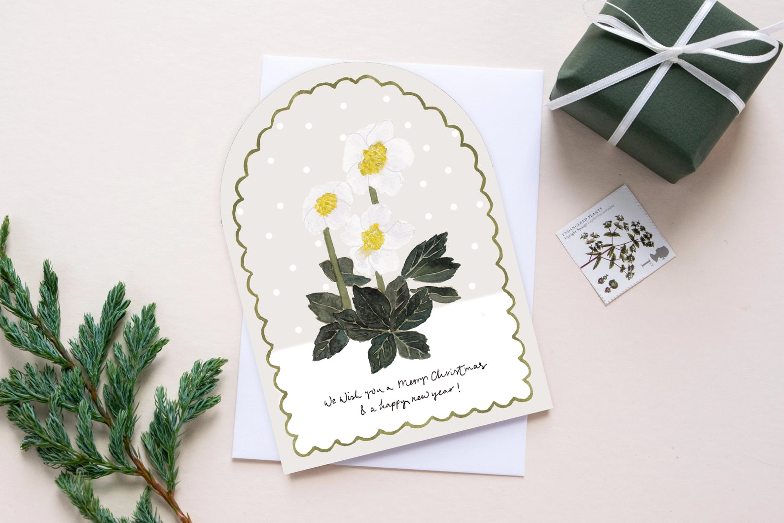 Christmas Rose Hellebore Christmas Card