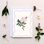 Wildflower Notecards, Pack of Six