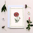 Wildflower Notecards, Pack of Six