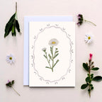 Wildflower Notecards, Pack of Six