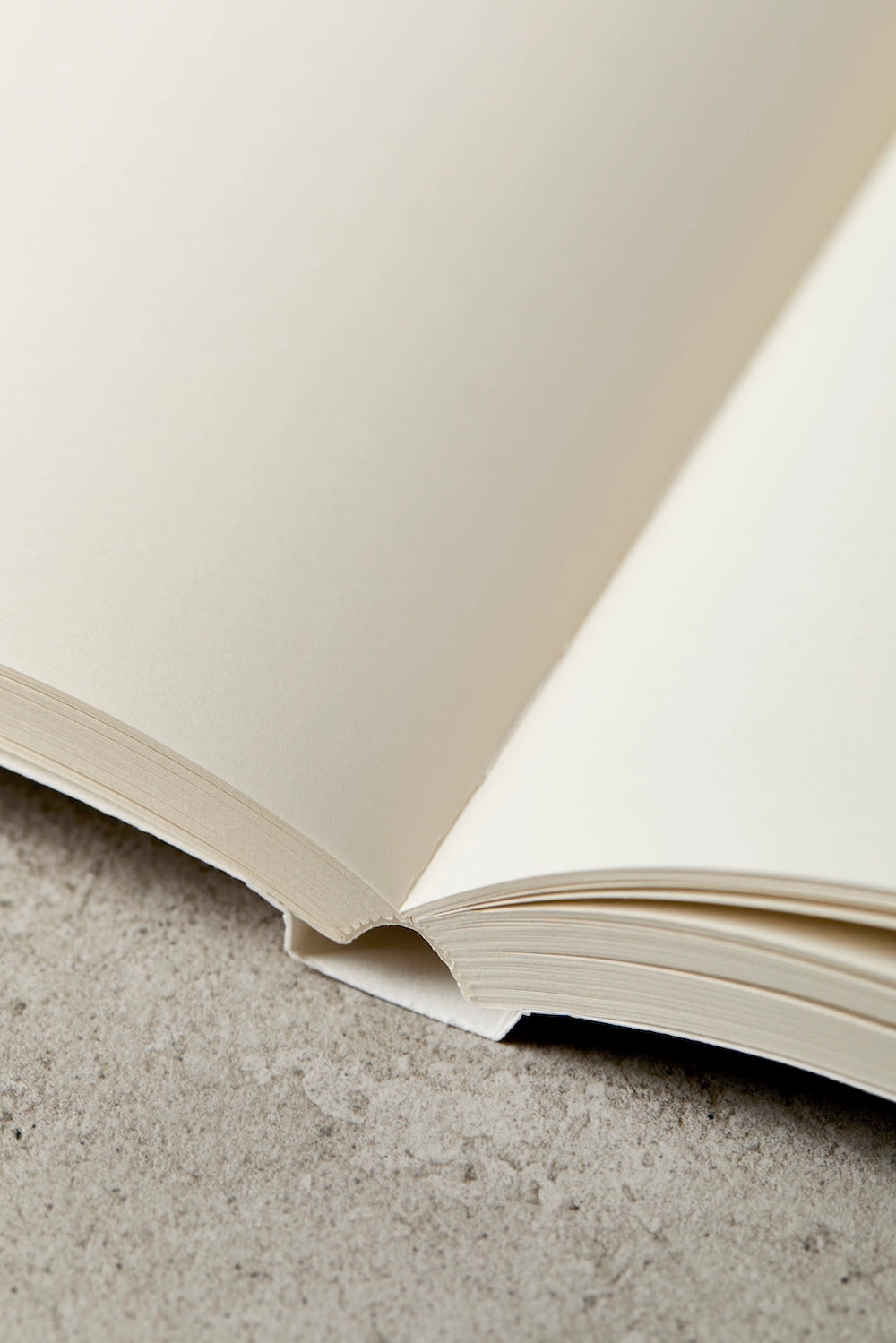 Forest Lay Flat Notebook