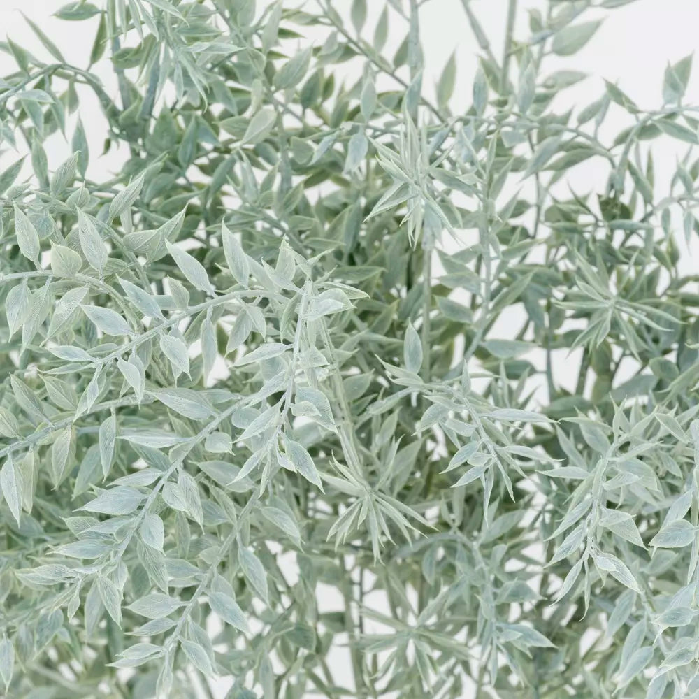 Italian Ruscus Artificial Stem