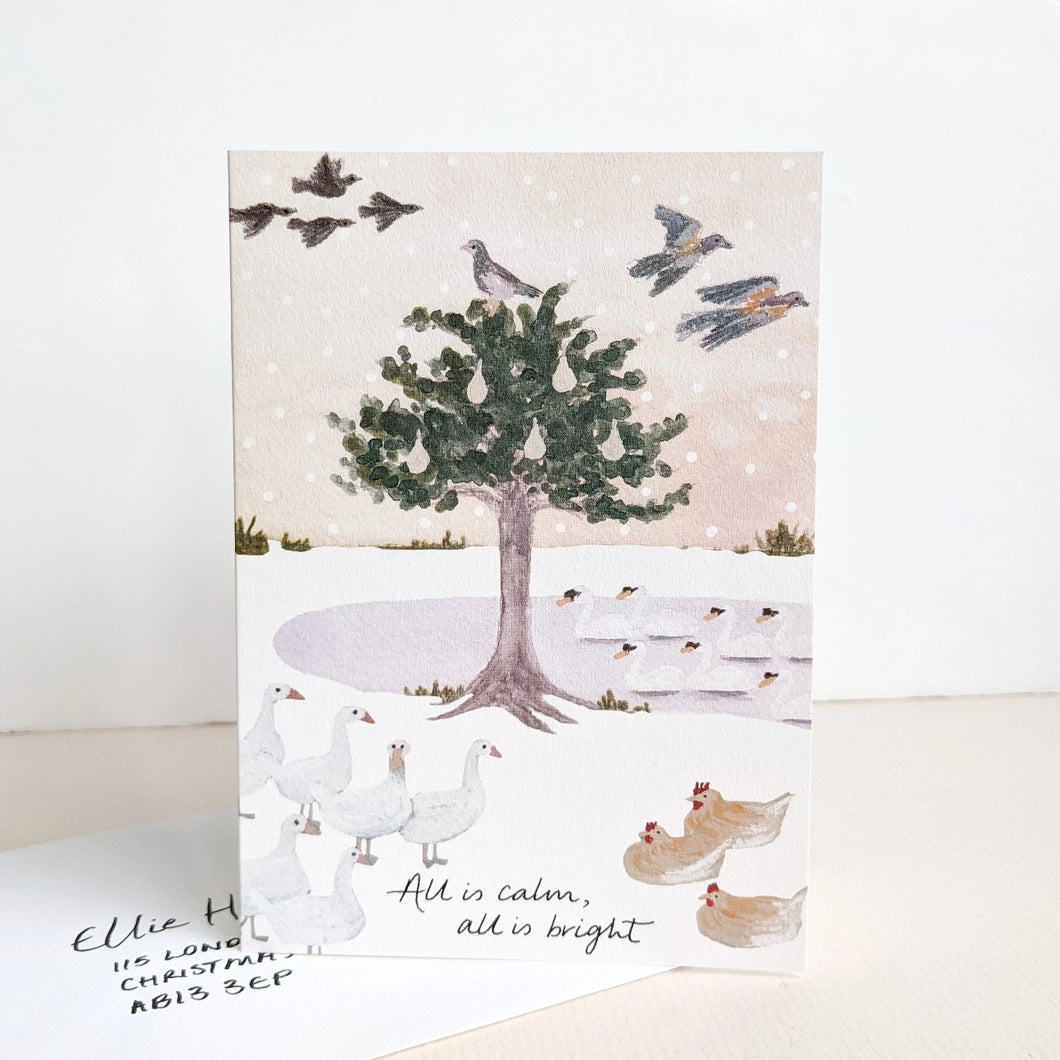 Christmas Birds, Pack of 6 Christmas Cards