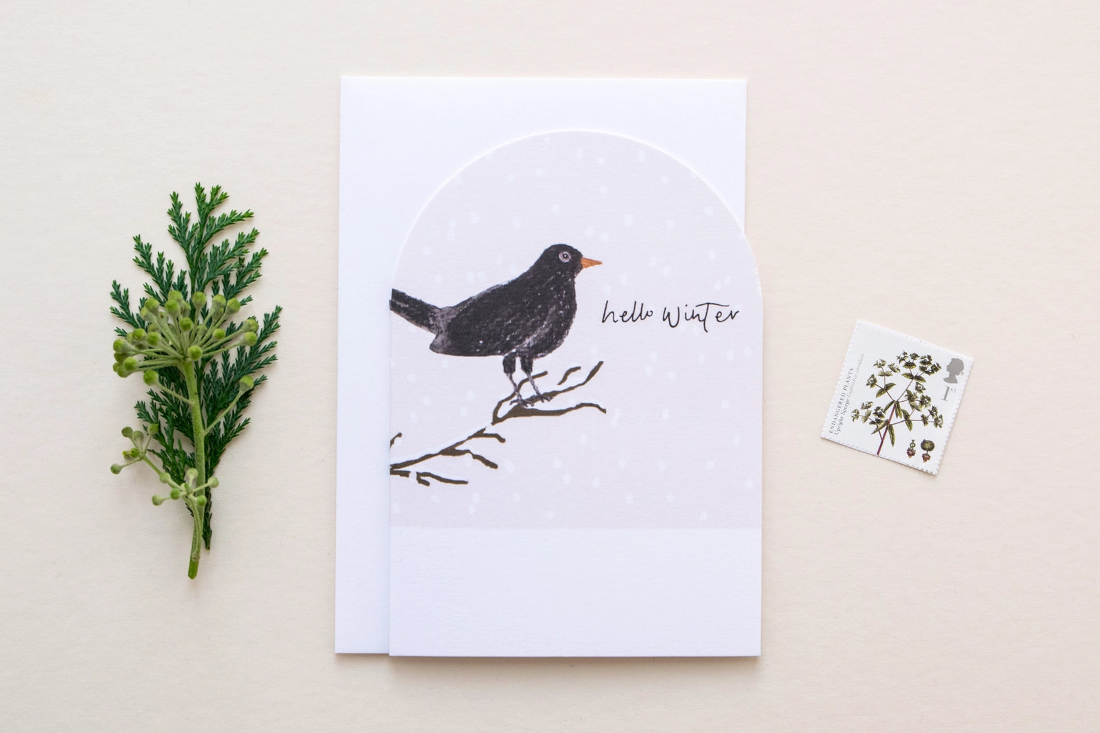 Hello Winter, Blackbird Christmas Card
